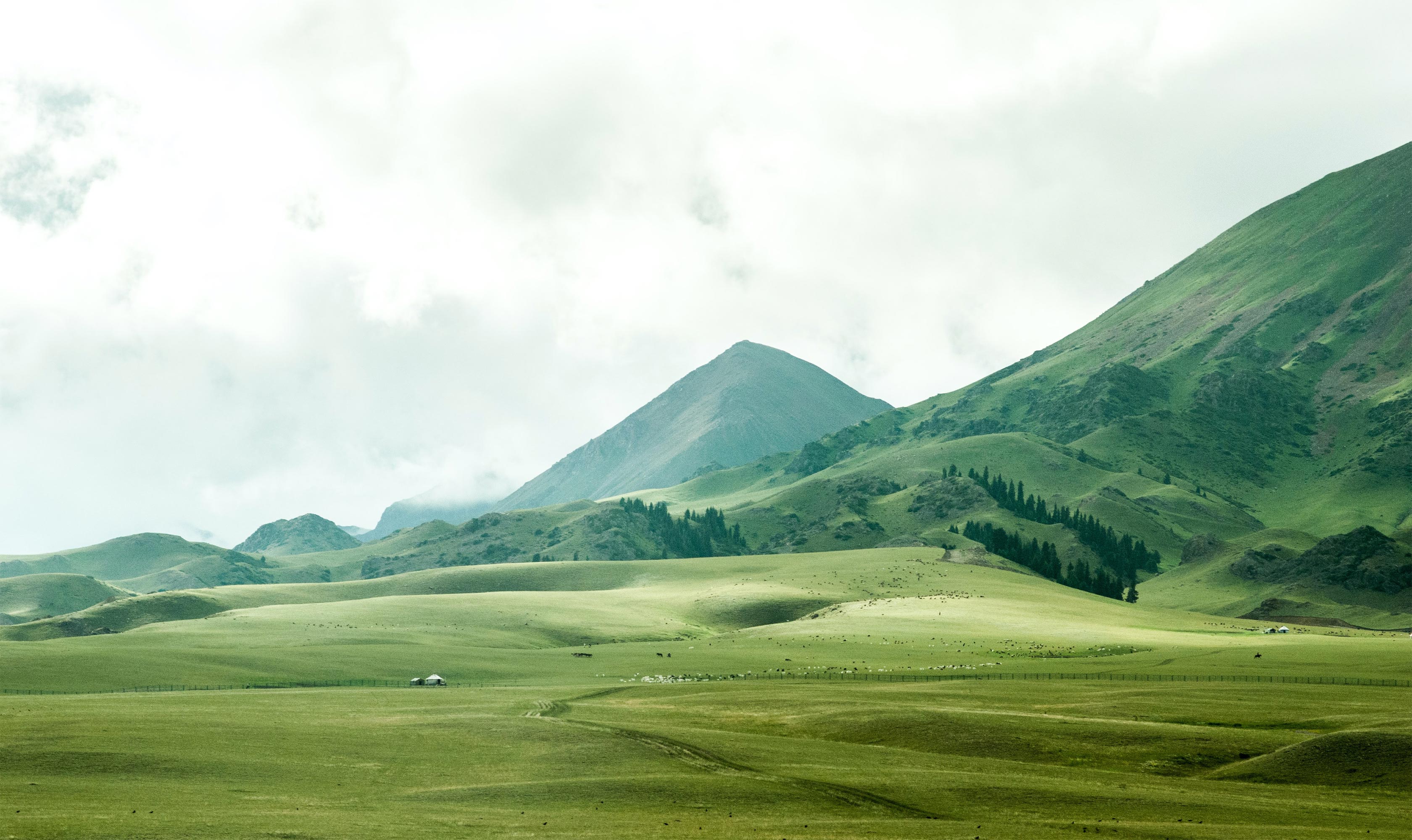 Green mountains